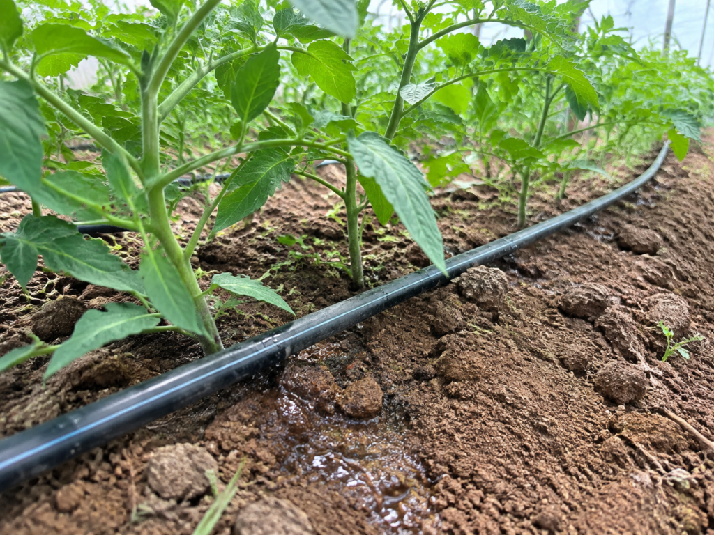 DRIP IRRIGATION TAPE SOLUTIONS