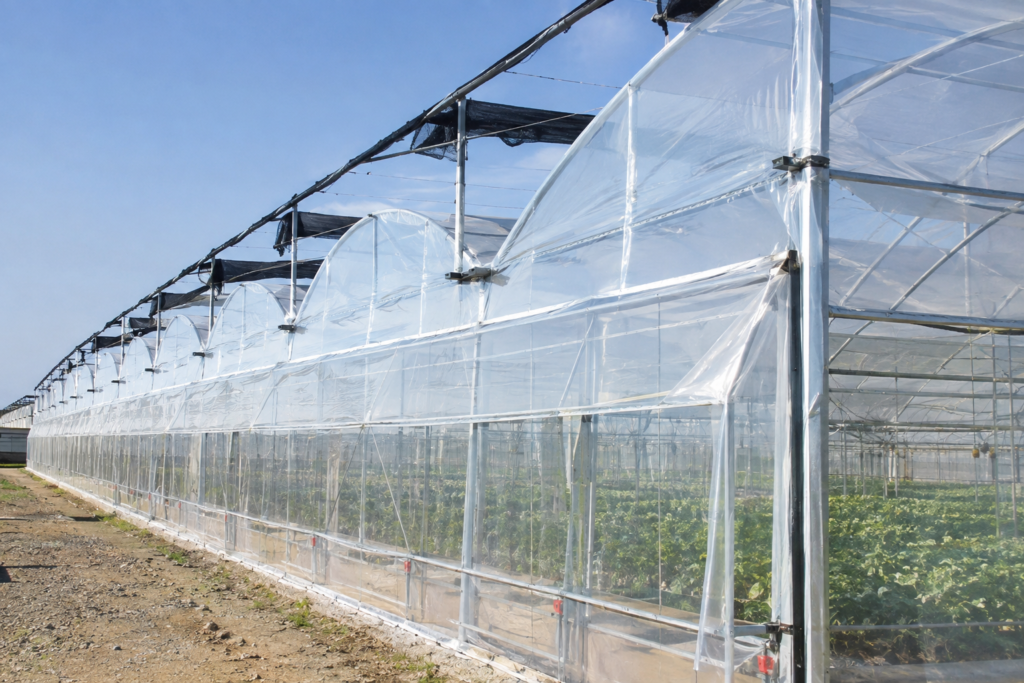 How Greenhouse Film Helps Reduce Crop Stress