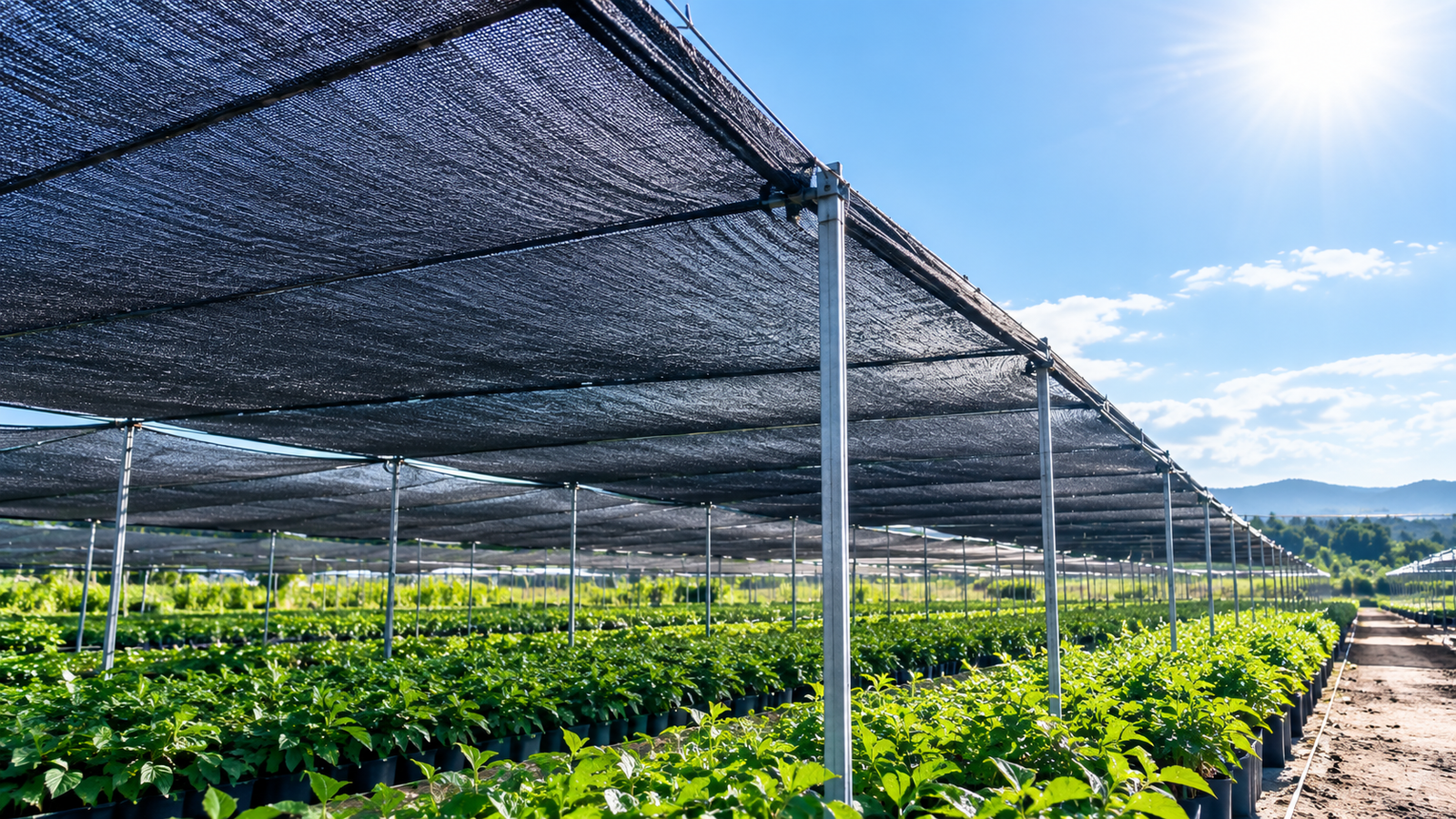 Shade Net