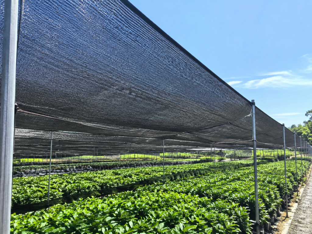 SHADE NET SOLUTIONS